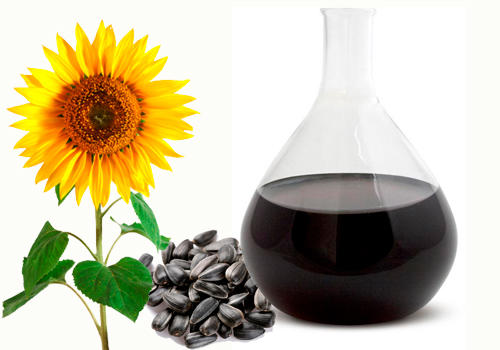 Sunflower+lecithin4