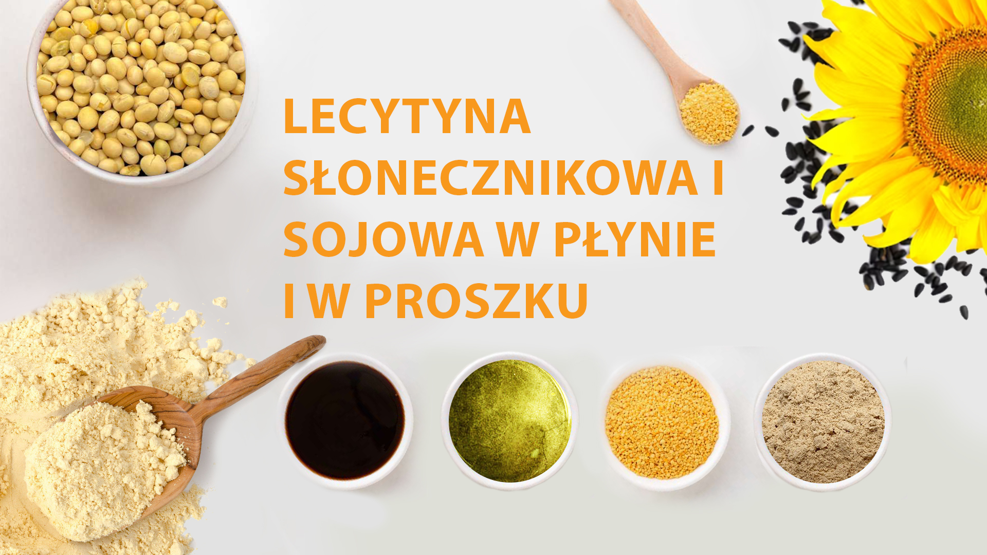 baner for site - 2 pl